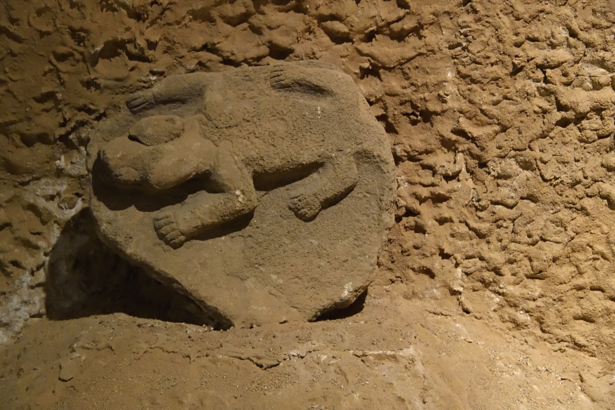 Animal Relief — Museum