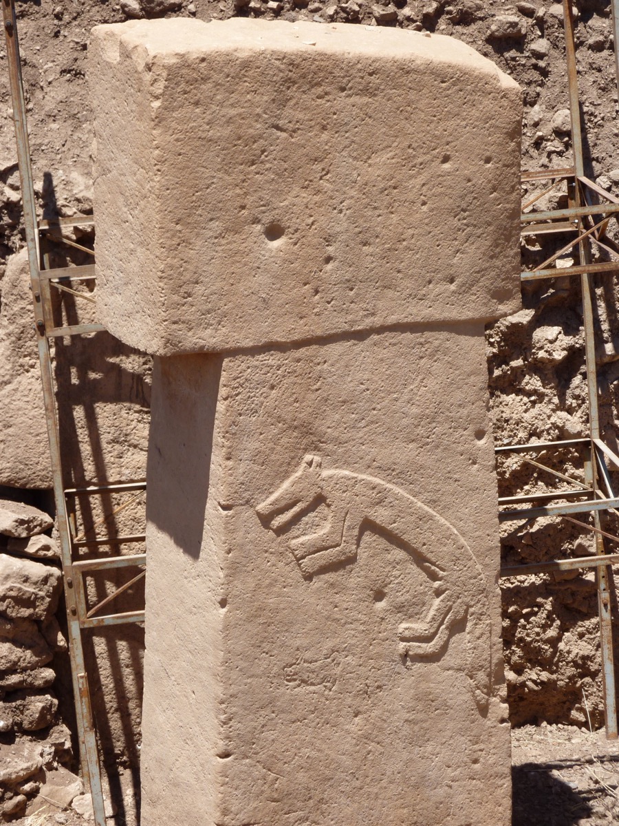 Fox Relief on Pillar 12
